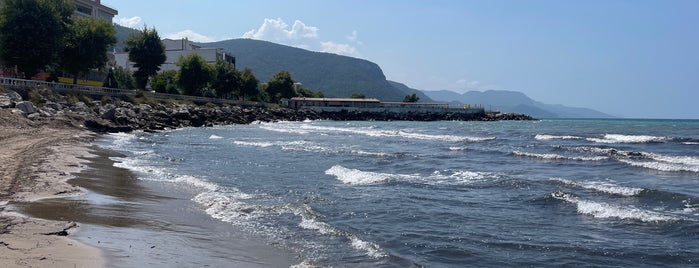 Cide Plajı is one of Haftasonu kaçamağı kamp tatili.