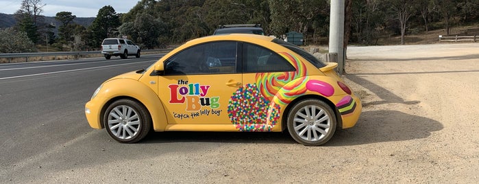 The Lolly Bug is one of Australia.