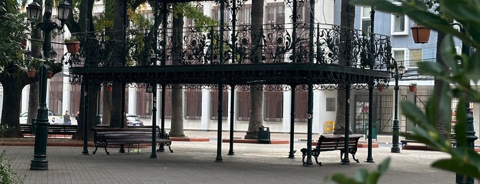 Plaza de Armas is one of Guia del turista en Curicó.
