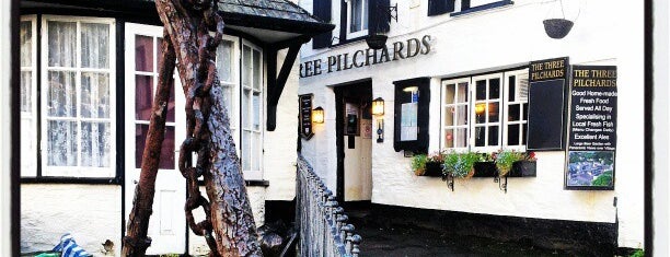 The Three Pilchards is one of My Bar Visits -- The Pubs.