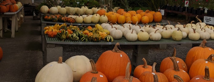 Larose's Farm Market is one of Tempat yang Disukai Tammy.