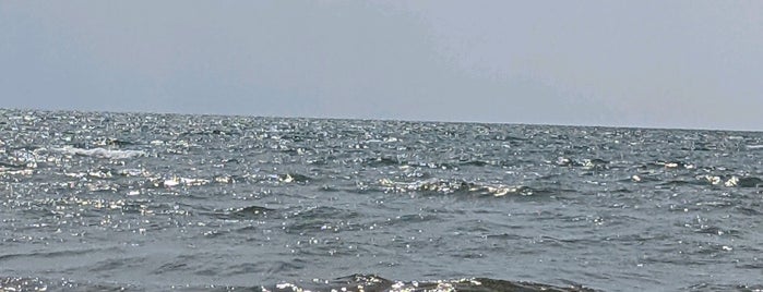 Woodlawn Beach is one of Buffalo-Niagara Region Beaches.