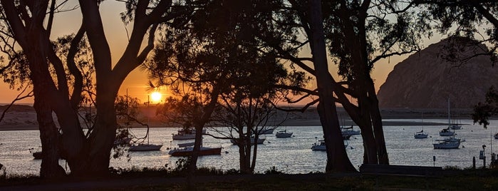 Bayshore Bluffs Park is one of Apr 14.