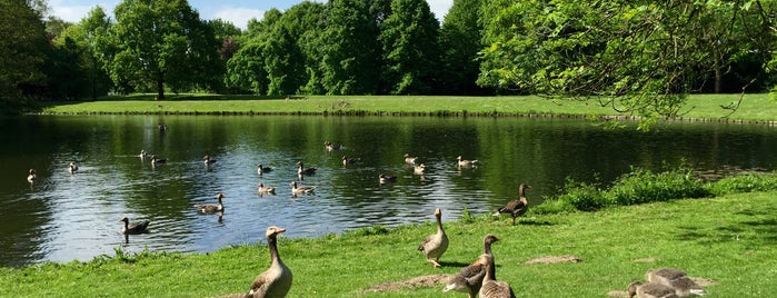 Park Presikhaaf is one of Must-visit Parks in Arnhem.