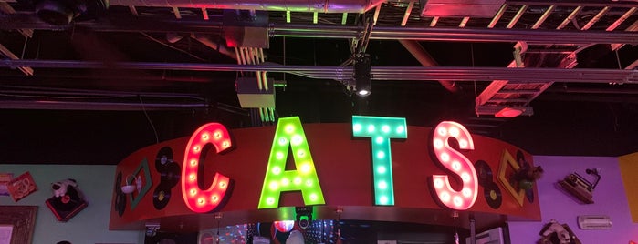 Cat’s Meow is one of Las vegas.