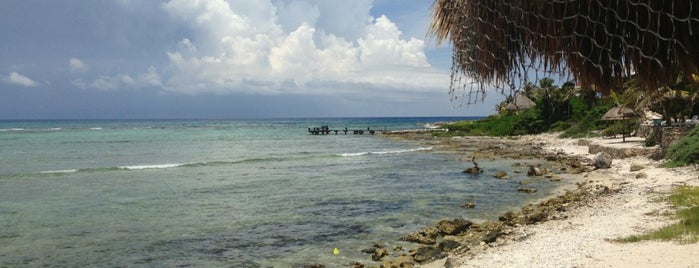 La Buena Vida is one of Riviera Maya trip.