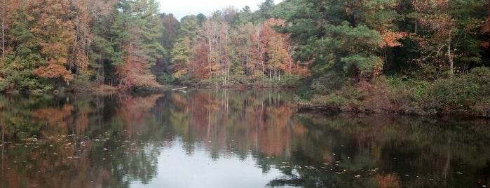 Lake Ellen is one of Lugares favoritos de Brandon.