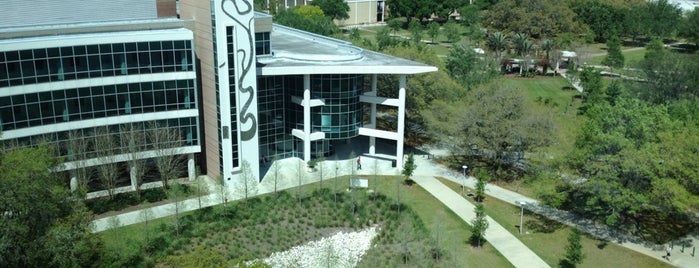 Güney Florida Üniversitesi is one of NCAA Division I FBS Football Schools.