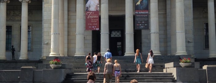 The Pushkin State Museum of Fine Arts is one of สถานที่ที่ Nikita ถูกใจ.