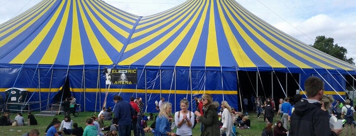 Electric Picnic Electric Arena is one of Venues.