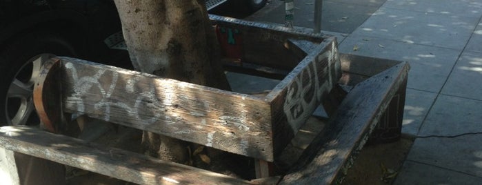 Shotwell's Tree Bench is one of สถานที่ที่บันทึกไว้ของ Jamie.