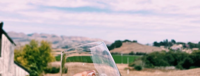 Kynsi Winery is one of SLO County Top Spots.