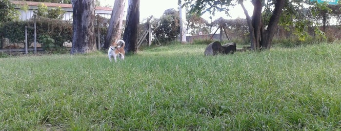 La Plaza para Perros is one of Posti che sono piaciuti a Alejandro.