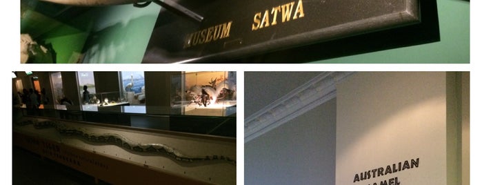 Museum Satwa is one of Bromo-Batu-Malang Trip 2017.