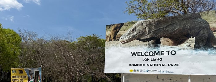 Pulau Komodo (Komodo Island) is one of Most Interesting Places.