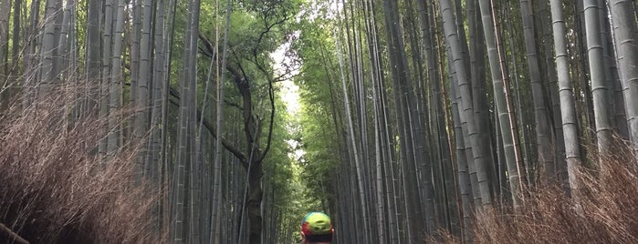 Kyoto-Osaka 2019