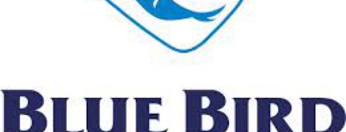 Blue Bird Group is one of Routinity.