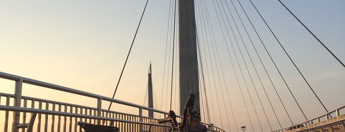 Jembatan Pedestrian is one of Jambi Trip 2017.