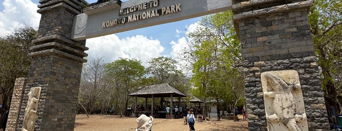 Komodo National Park is one of Labuanbajo 2023.