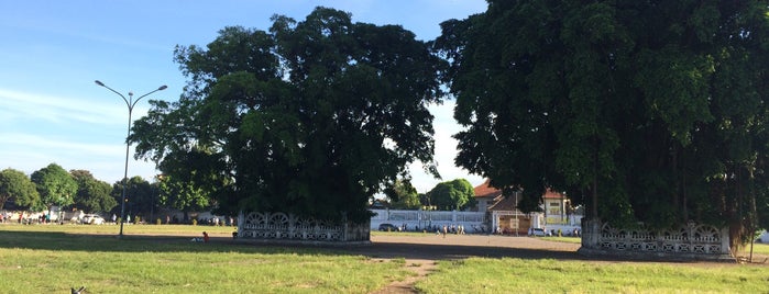 Twin Banyan Tree is one of Ngayogyakartahadiningrat.
