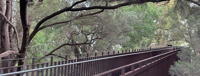 Lotterywest Federation Walkway is one of Perth.