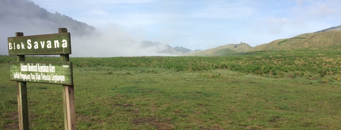 Padang Rumput Savana is one of Bromo-Batu-Malang Trip 2017.