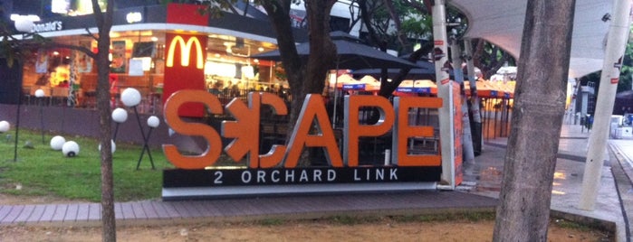 *SCAPE is one of Singapore Short trip 2022.