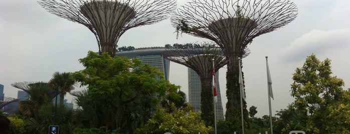 Supertree Grove is one of Singapore Short trip 2022.