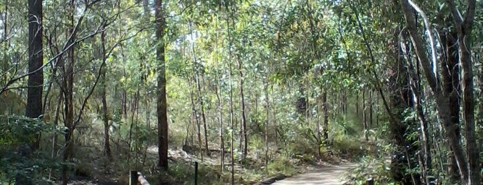 Raven Street Reserve is one of Brisbane To Do.