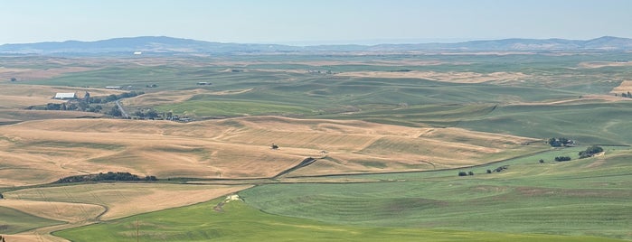 Kamiak Butte County Park is one of Places to relax and "get away" in the Palouse.