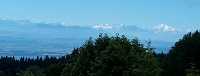 La Vue Des Alpes is one of Locais curtidos por Andreas.