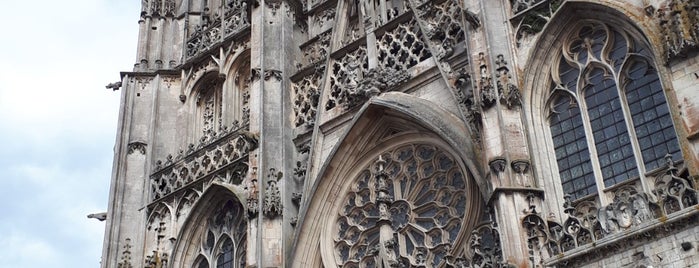 Cathédrale Saint-Étienne is one of France to do list.