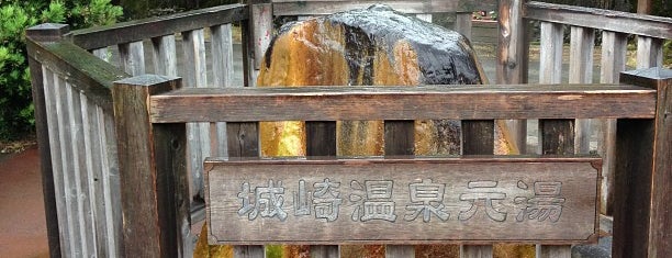 城崎温泉元湯 is one of 日帰り温泉.