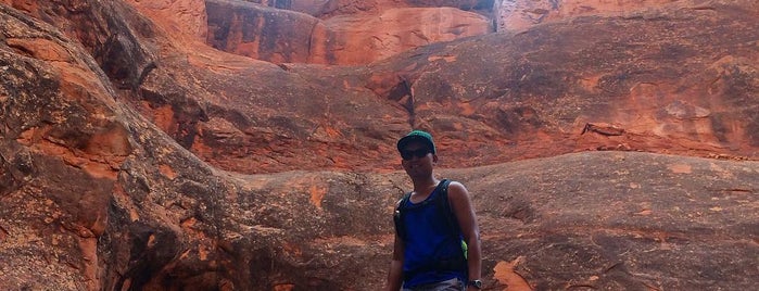 Fiery Furnace Viewpoint is one of Arches Nat'l.