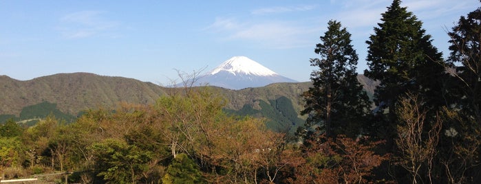 Hotel Green Plaza Hakone is one of Lugares favoritos de Valeria.