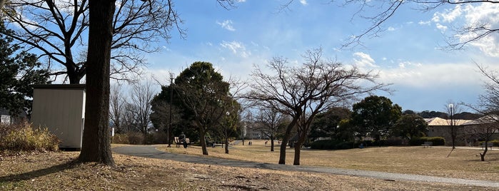 新本牧公園 is one of park visited.