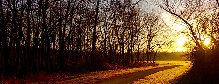 Little Blue Trace Trail-Necessary Rd Access is one of Locais curtidos por Phil.