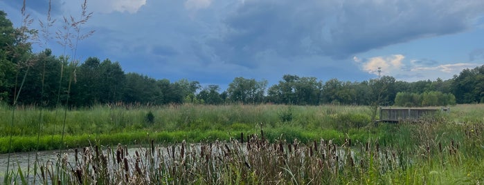 Quail Ridge Park is one of PARKS.