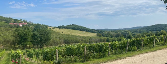 Kőróka Pince is one of Lieux qui ont plu à Tibor.