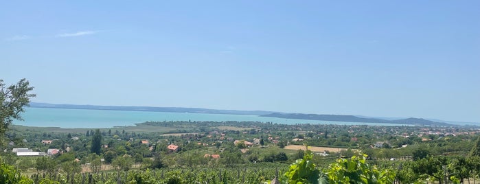 Szent Donát Pince és Borház is one of Balaton winery 🍷.