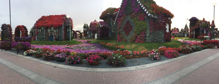 Dubai Miracle Garden is one of Lugares favoritos de Basheera.