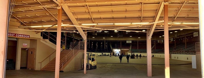 Tingley Coliseum is one of Albuquerque, NM.