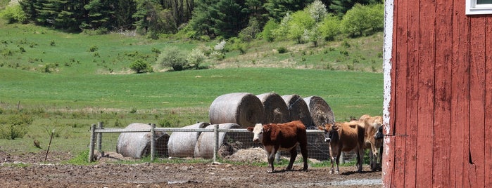 Tamerlaine Farm Sanctuary is one of Bushkill Falls 🌳 🚿.