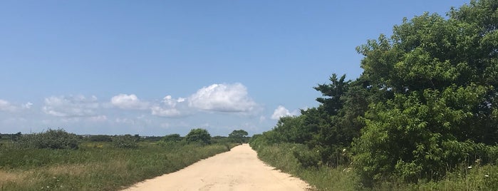 The Farm Institute is one of Martha's Vineyard.