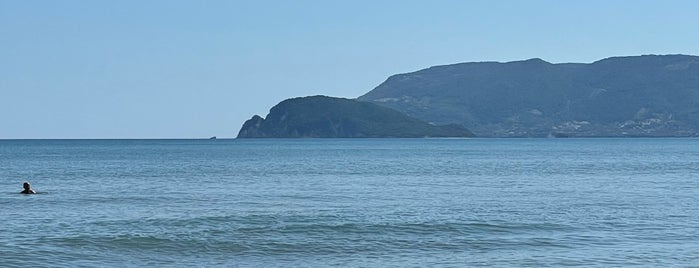 Kalamaki Beach is one of Zakynthos / Griechenland.