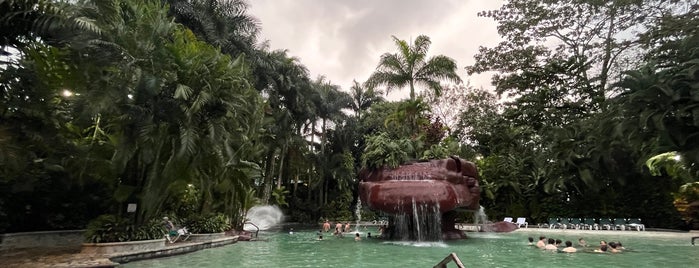 Baldi Hot Springs Hotel Resort & Spa is one of Pura Vida.
