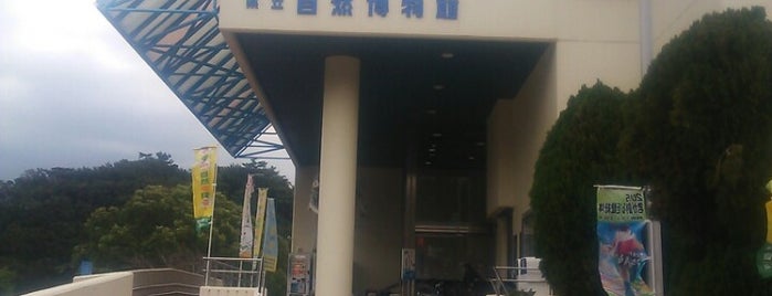和歌山県立自然博物館 is one of 水族館（らしきものも含む）.