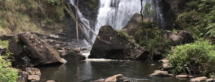Stevensons Falls is one of Day trips.