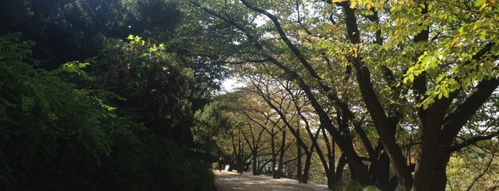 Ansan(Mt.) Park is one of 歩きたい道・テーマ通り・公園（まったり）.