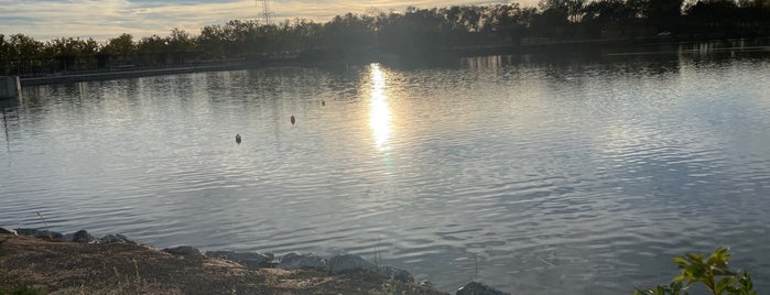 Lago Polvoranca is one of Parques.